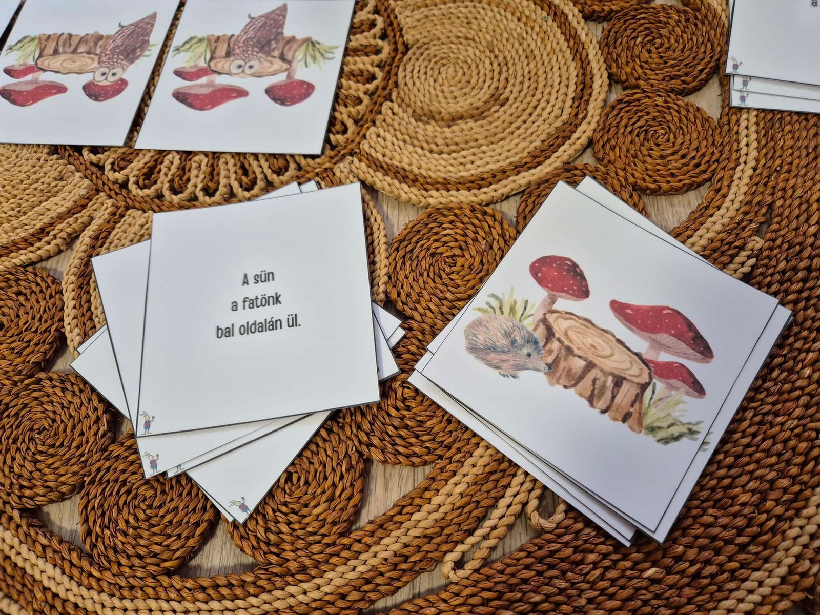 2025-jatek-allatokesfatorzs1