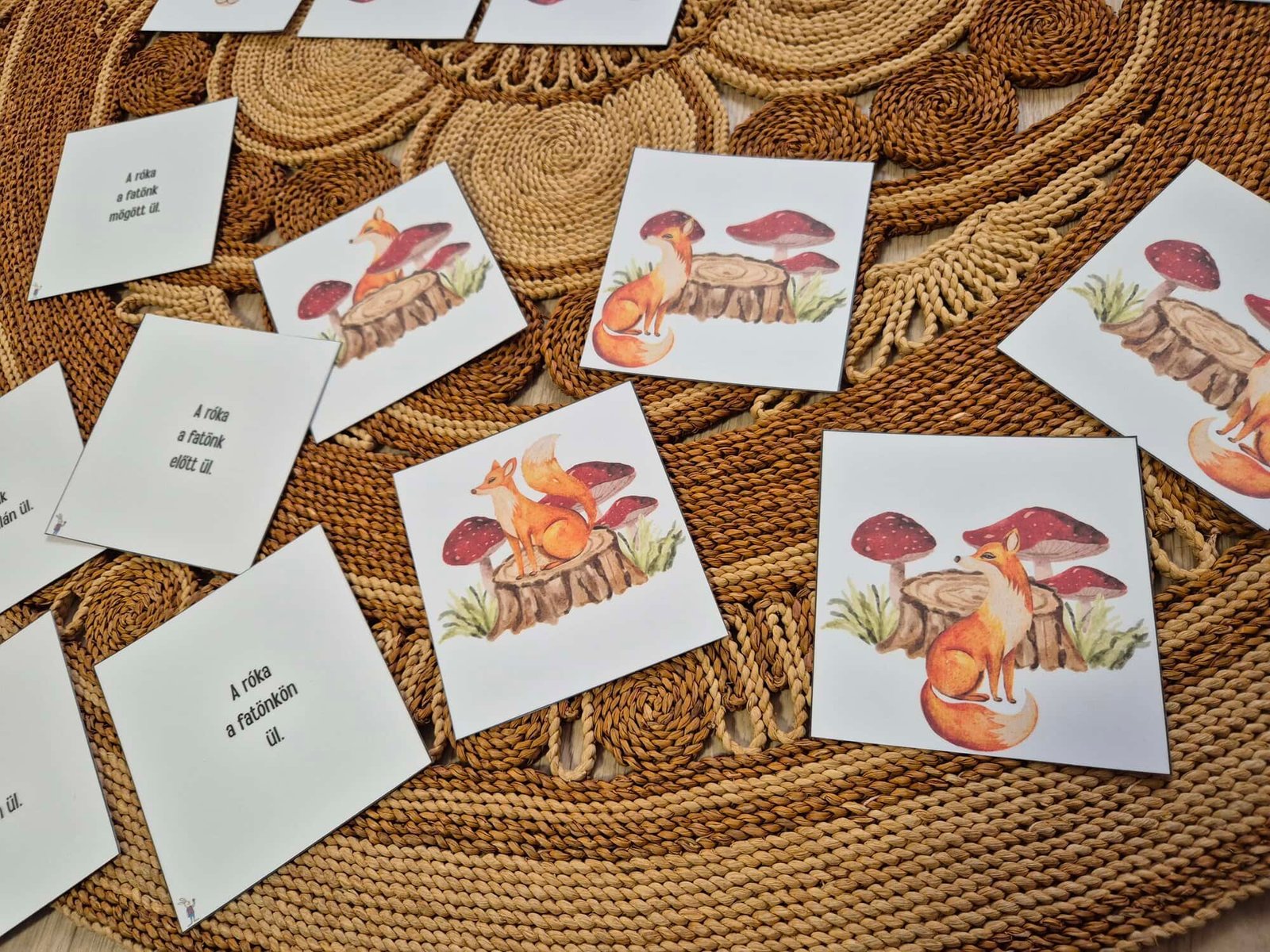 2025-jatek-allatokesfatorzs12