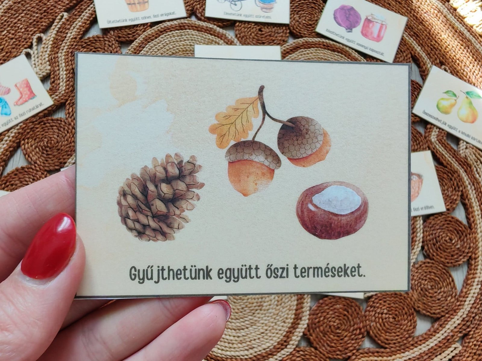 2025-jatek-betakaritas-tkartya1