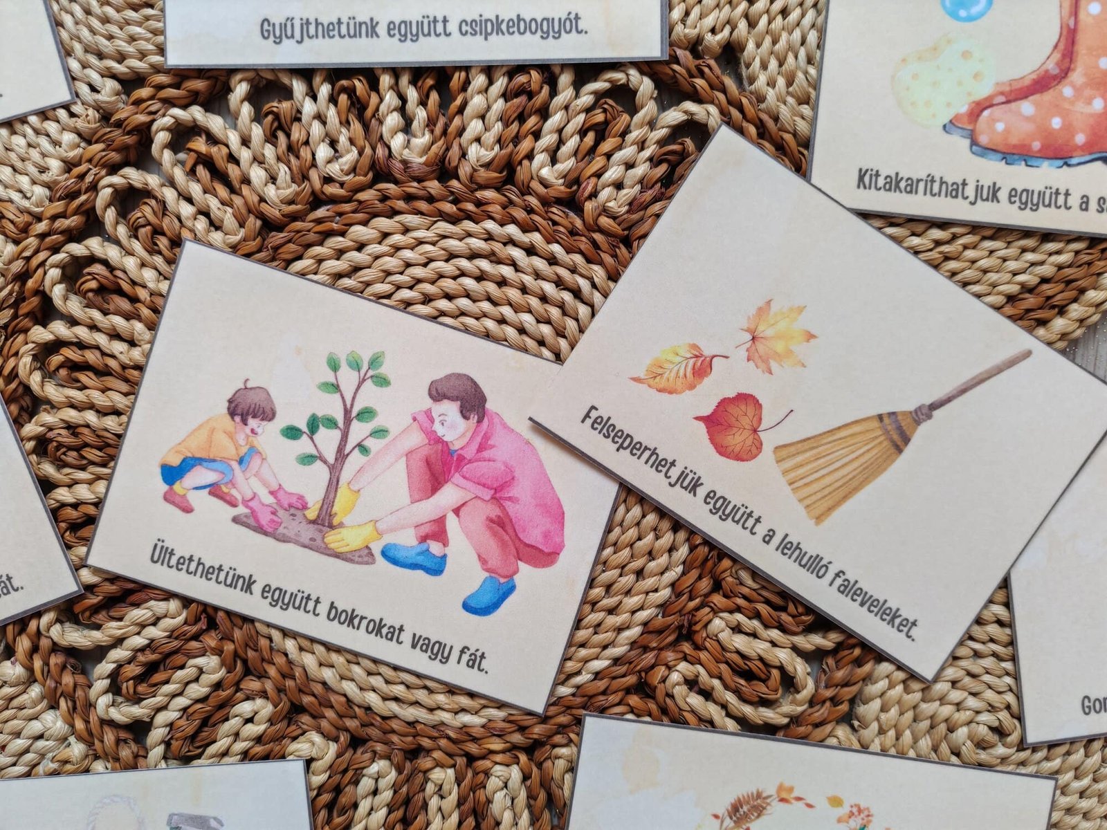 2025-jatek-betakaritas-tkartya4