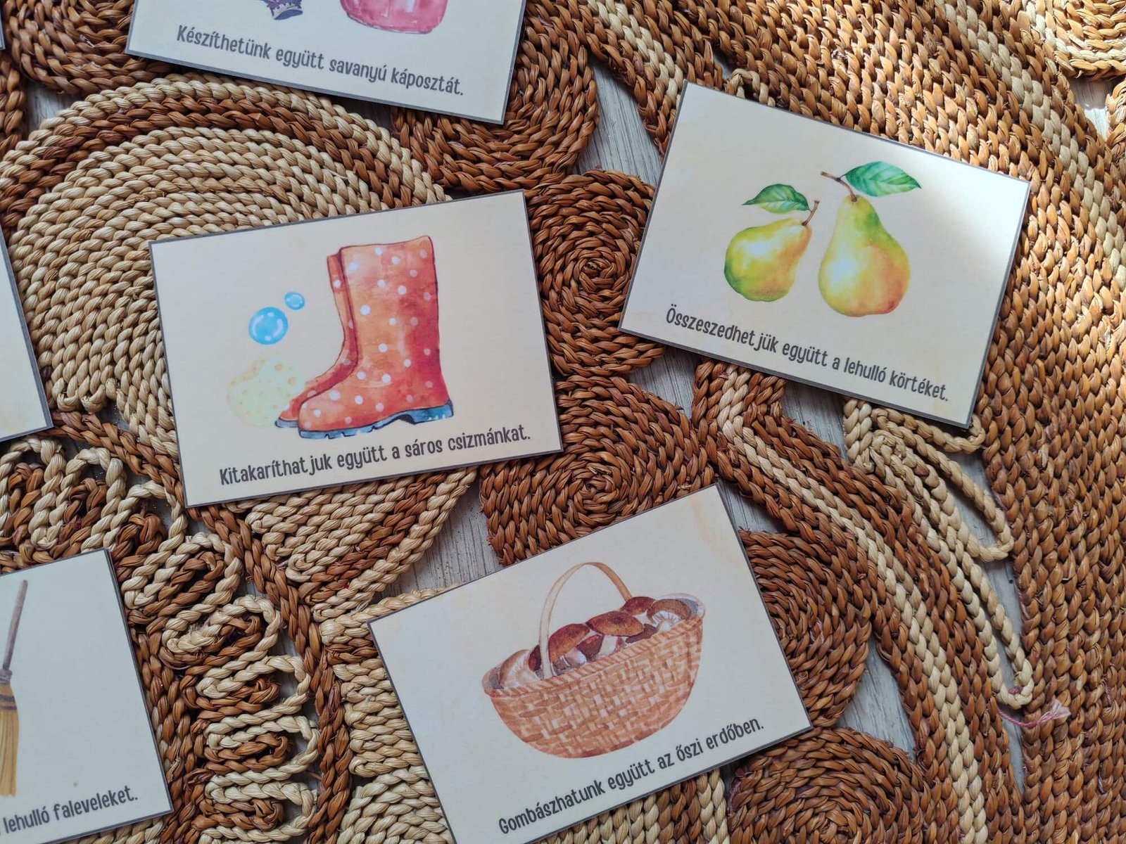 2025-jatek-betakaritas-tkartya5