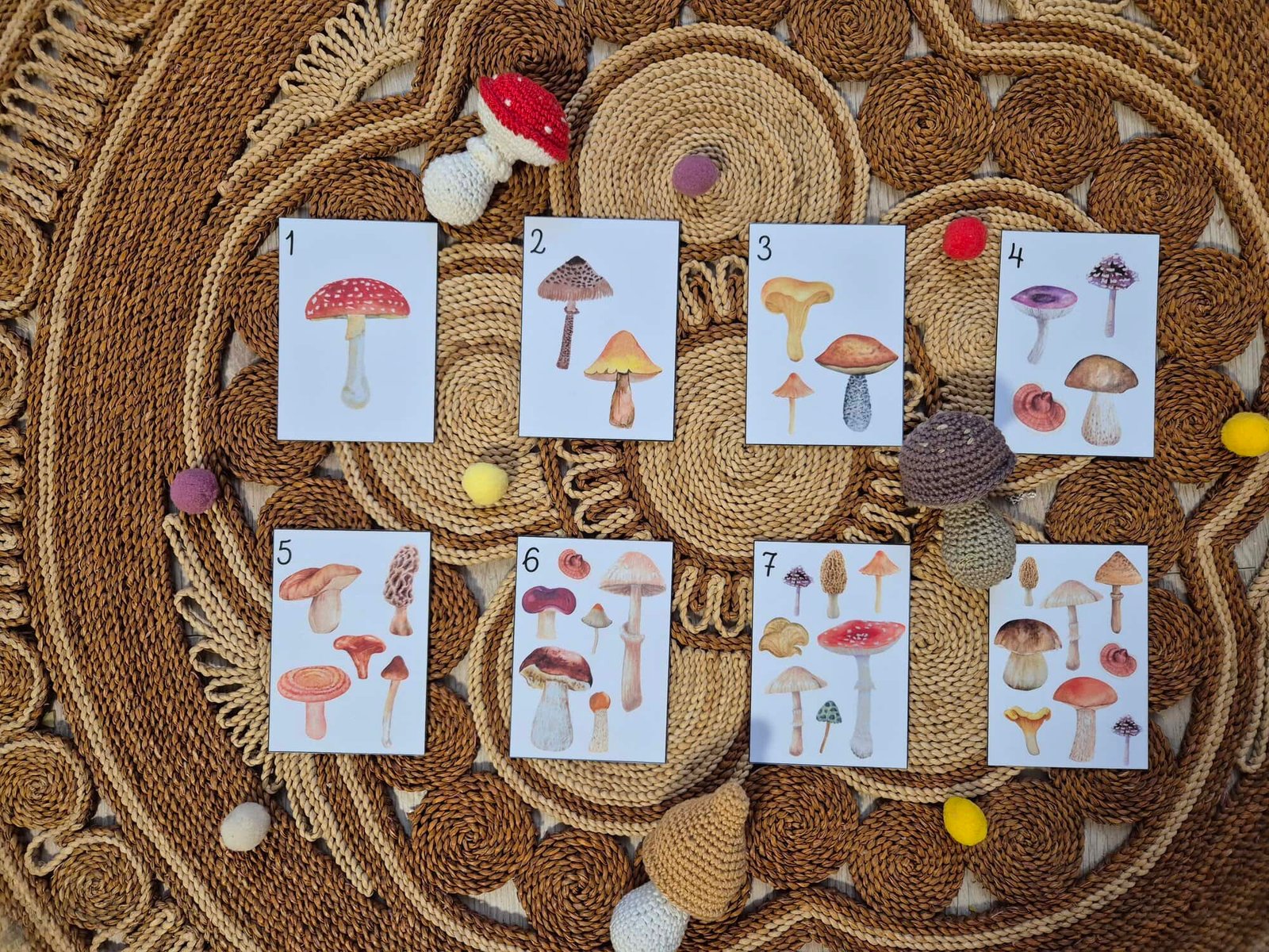 2025-jatek-gomba-szamolo1