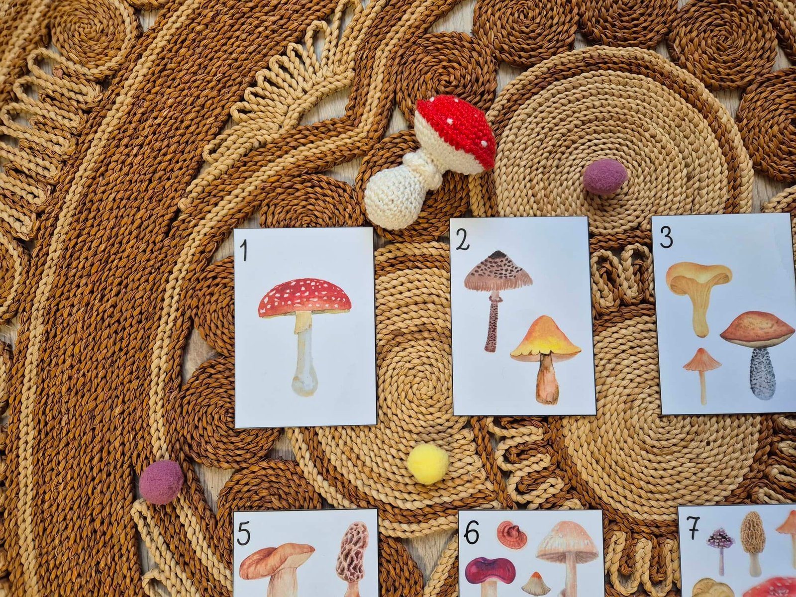 2025-jatek-gomba-szamolo2