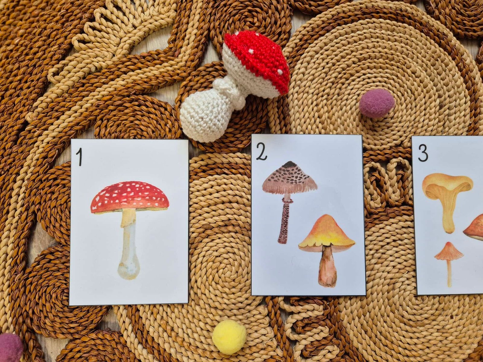 2025-jatek-gomba-szamolo3