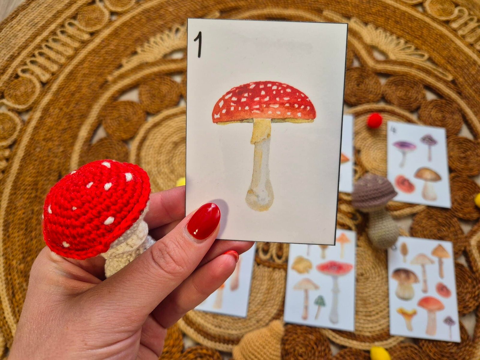 2025-jatek-gomba-szamolo4